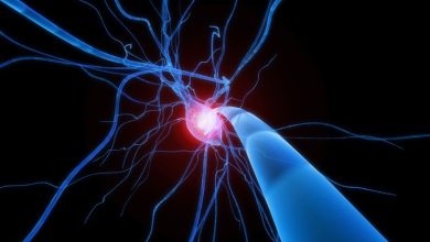 Kursus Deep Learning