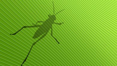 Kursus Rhino Grasshopper