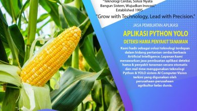 Jasa Pembuatan Aplikasi YOLO Hama Penyakit Tanaman