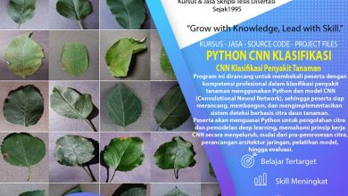 Kursus & Jasa Python CNN Penyakit Daun