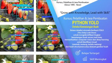 Kursus Jasa Python YOLO 1